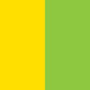 Colour-Yellow & Light Green